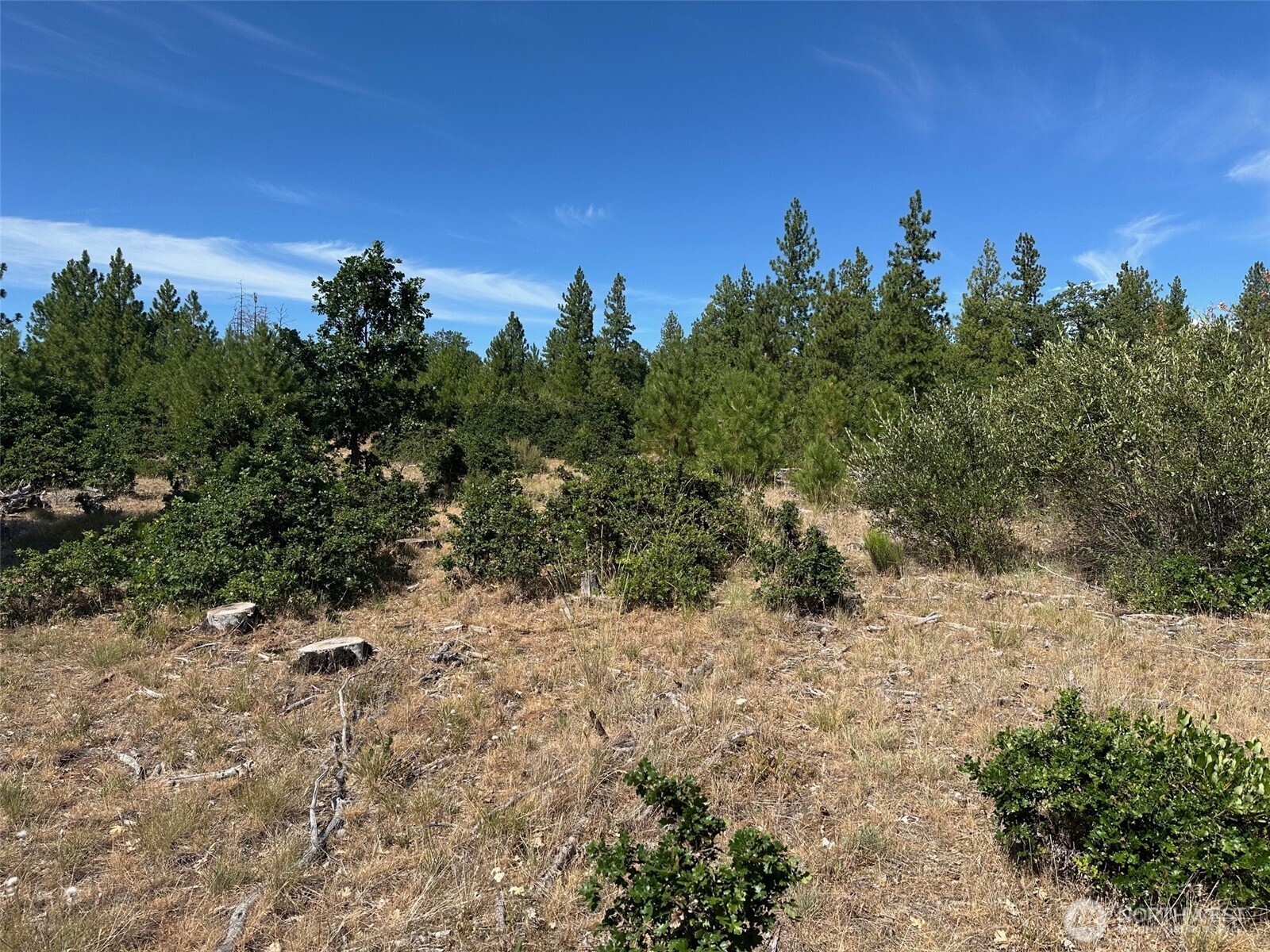 0 Three Mountains Meadows Property Photo 5
