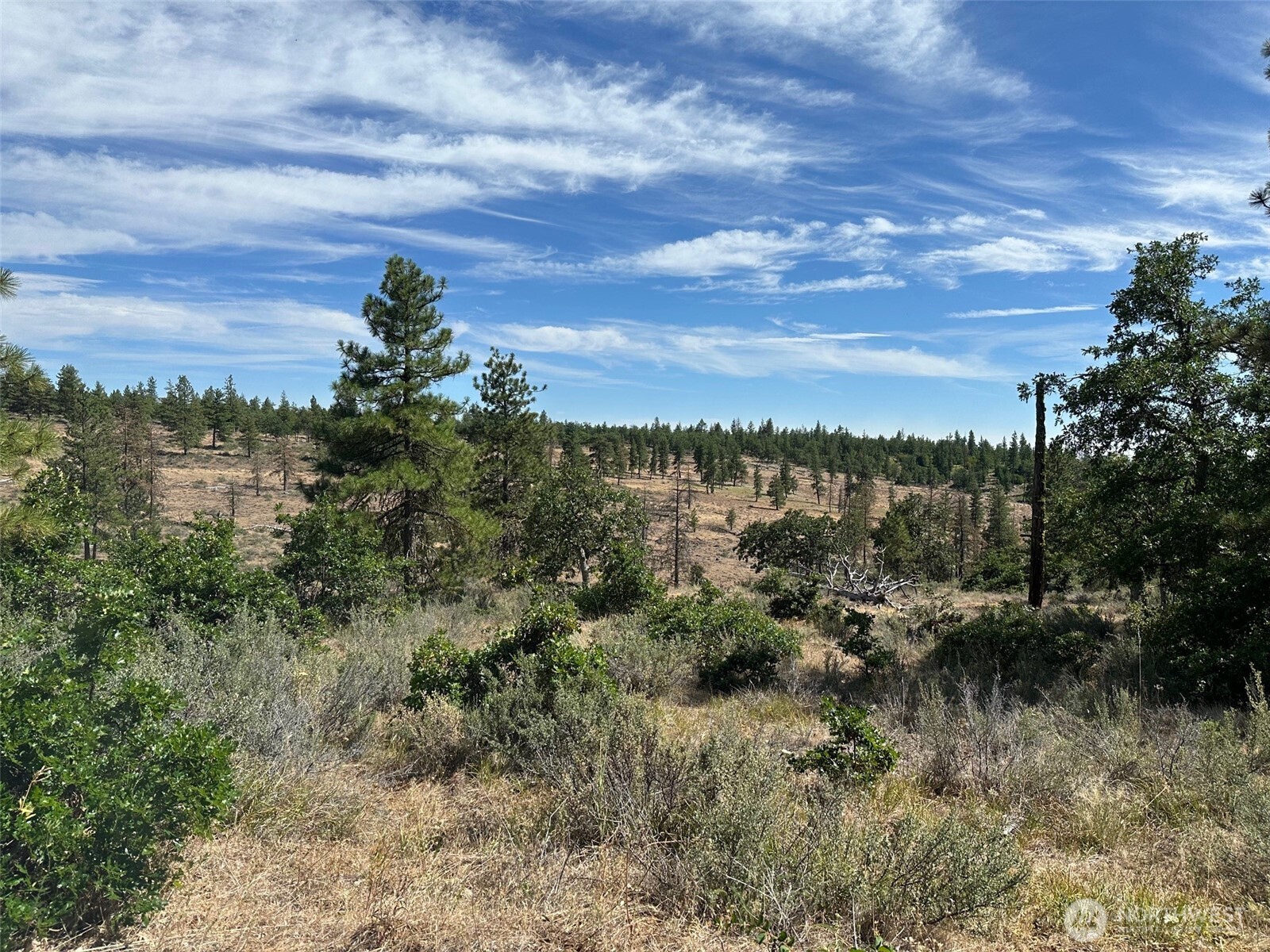 0 Three Mountains Meadows Property Photo 7