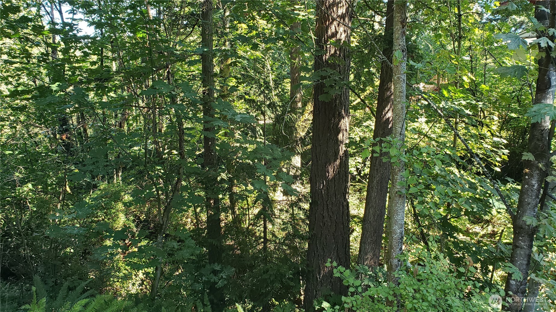 120 Xx Se May Creek Park Drive Property Photo 10