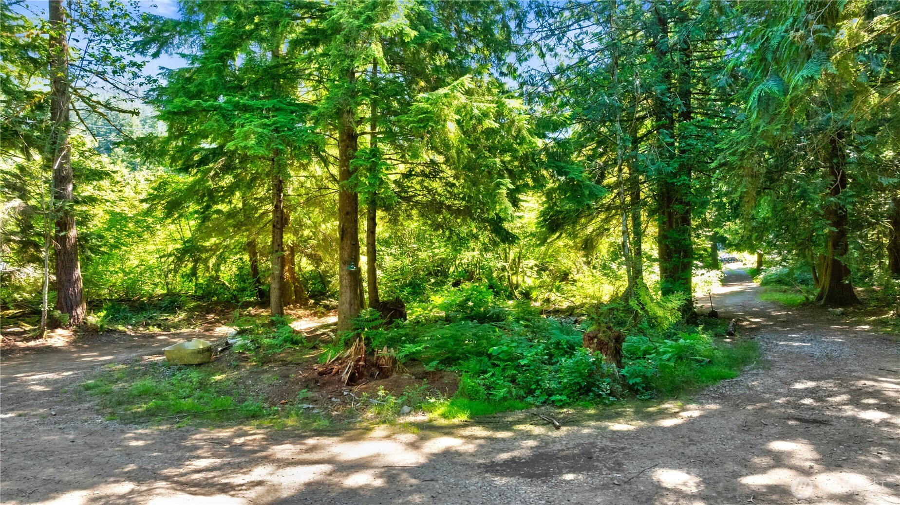 15528 May Creek Road Property Photo 1