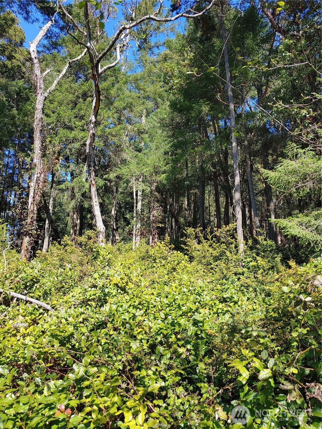 10419 Riviera Drive Property Photo 1