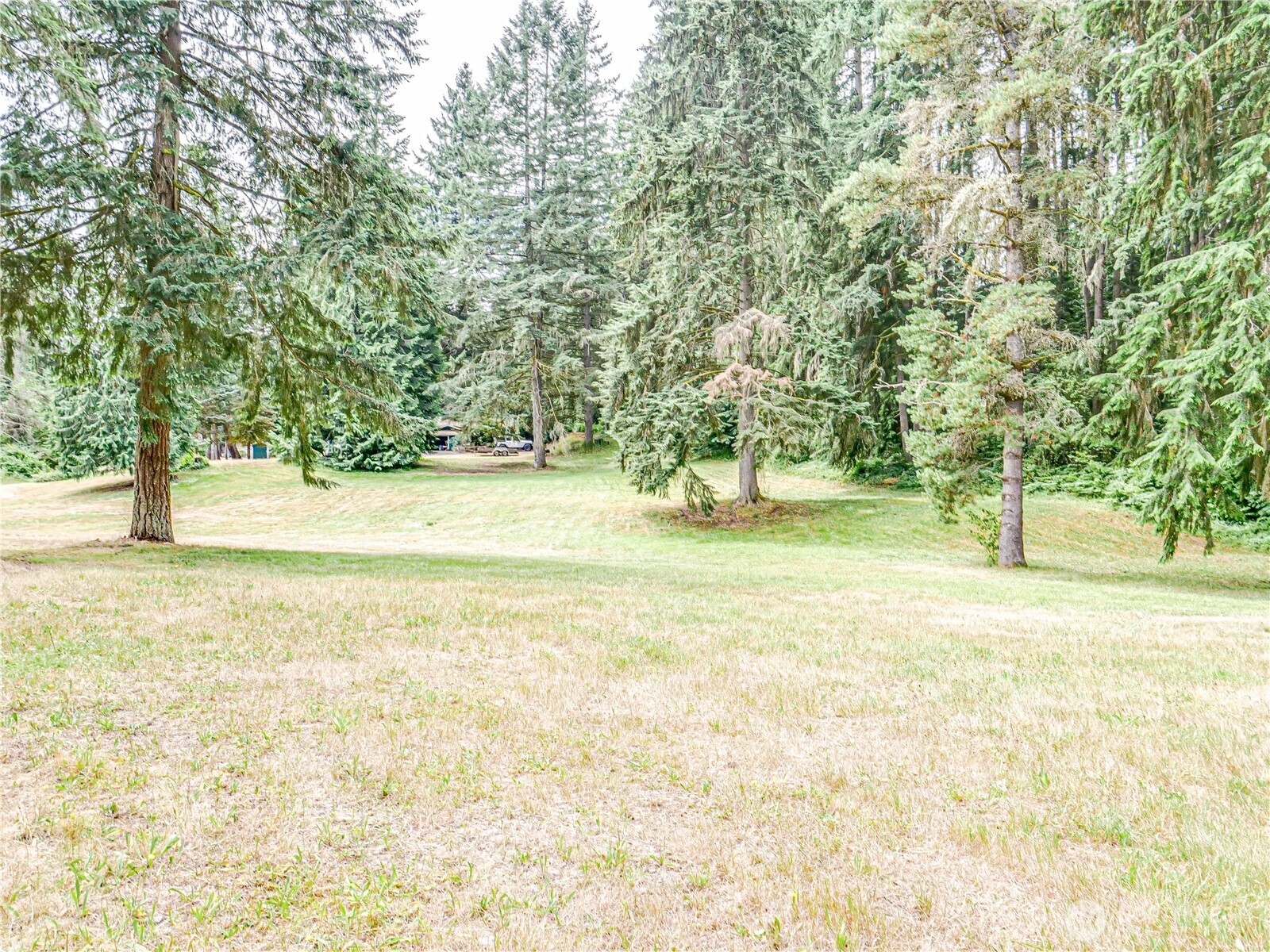 18612 51st Avenue Property Photo 1