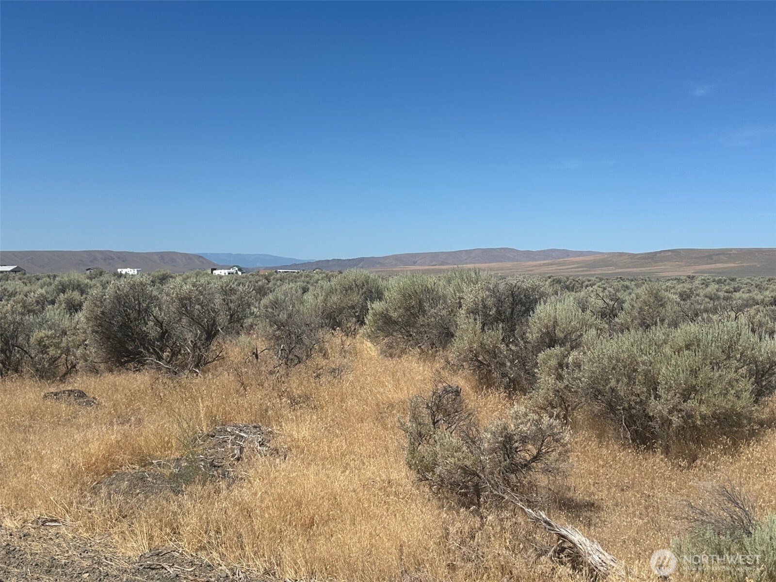 1540 Paso Fino Drive Property Photo 2