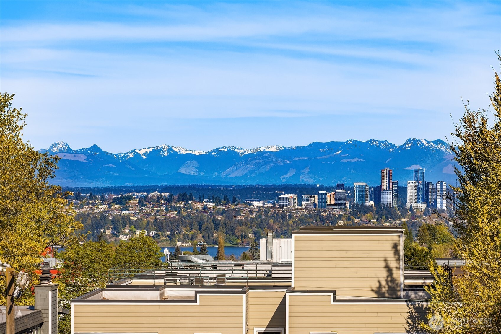 1715 17th Avenue Property Photo 19