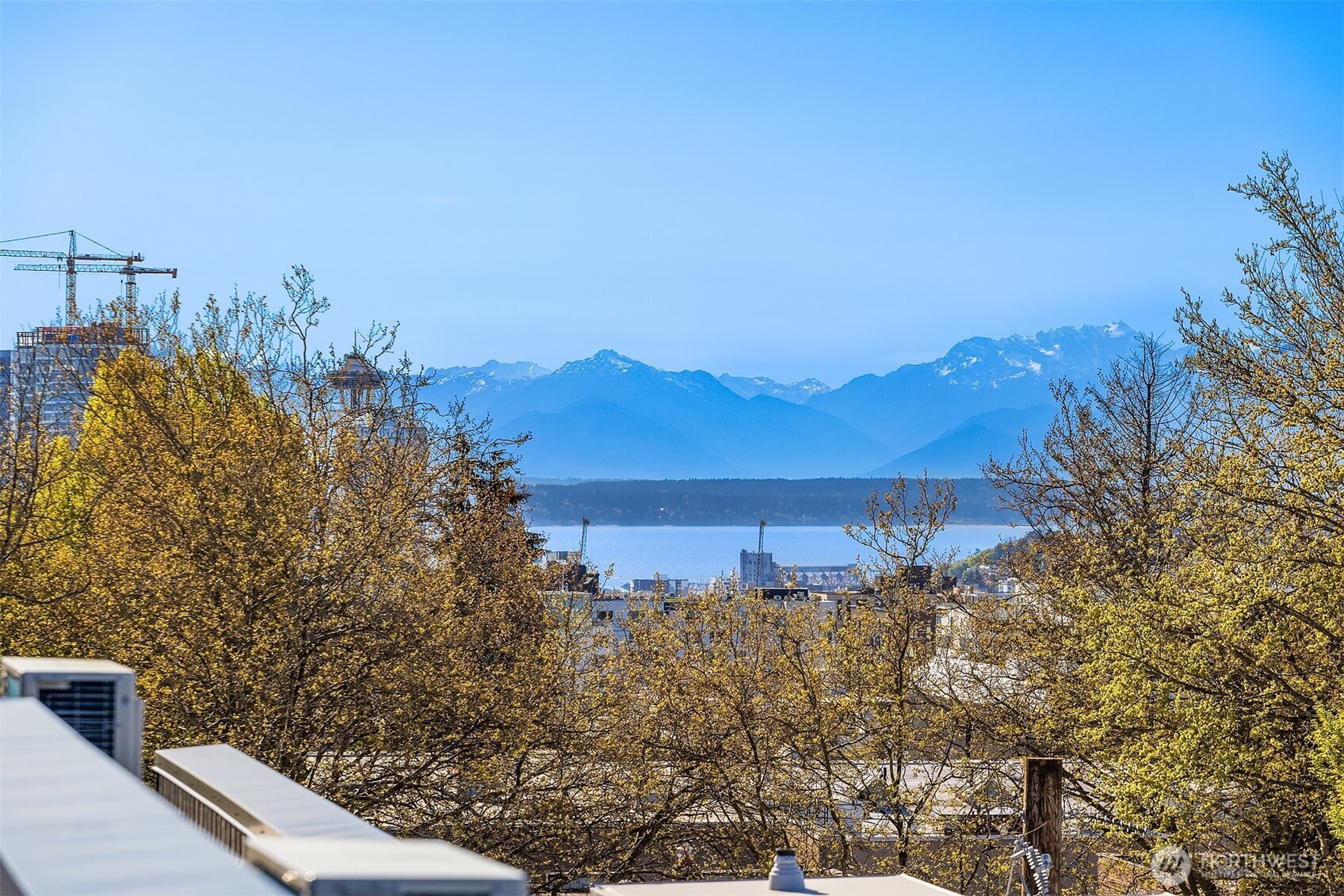 1715 17th Avenue Property Photo 20