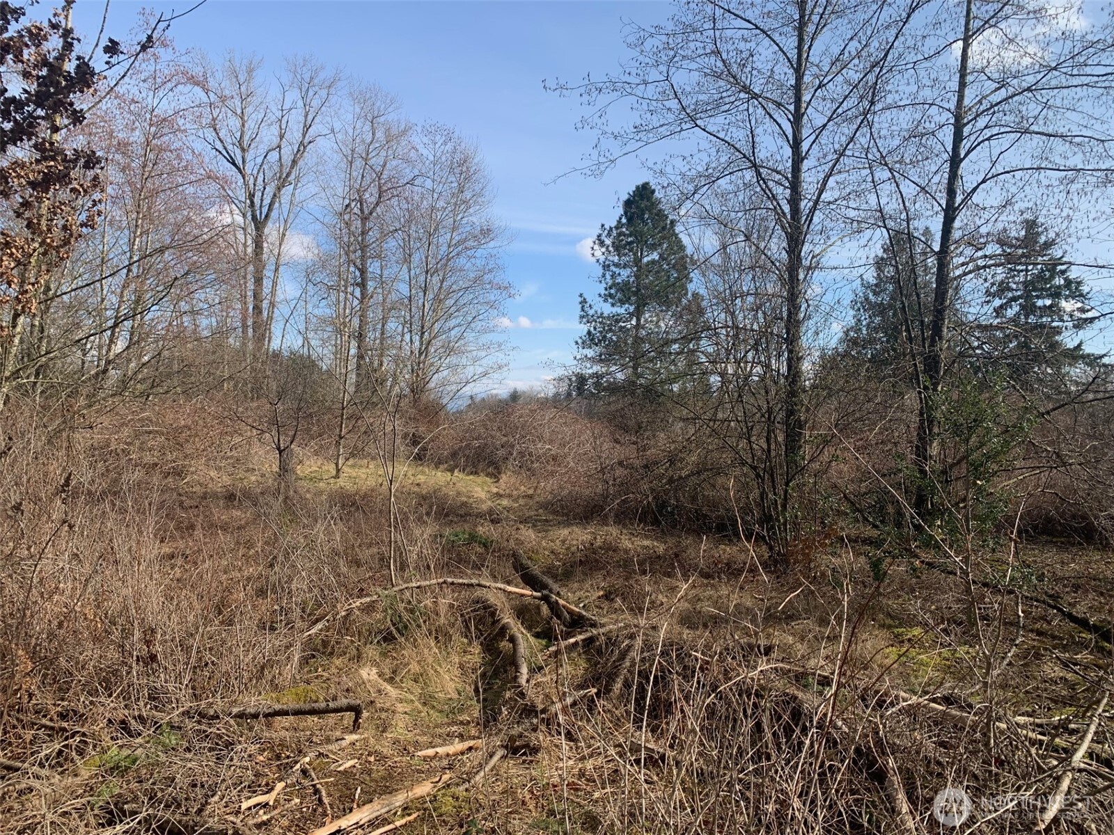 9924 Markworth Road Property Photo 12