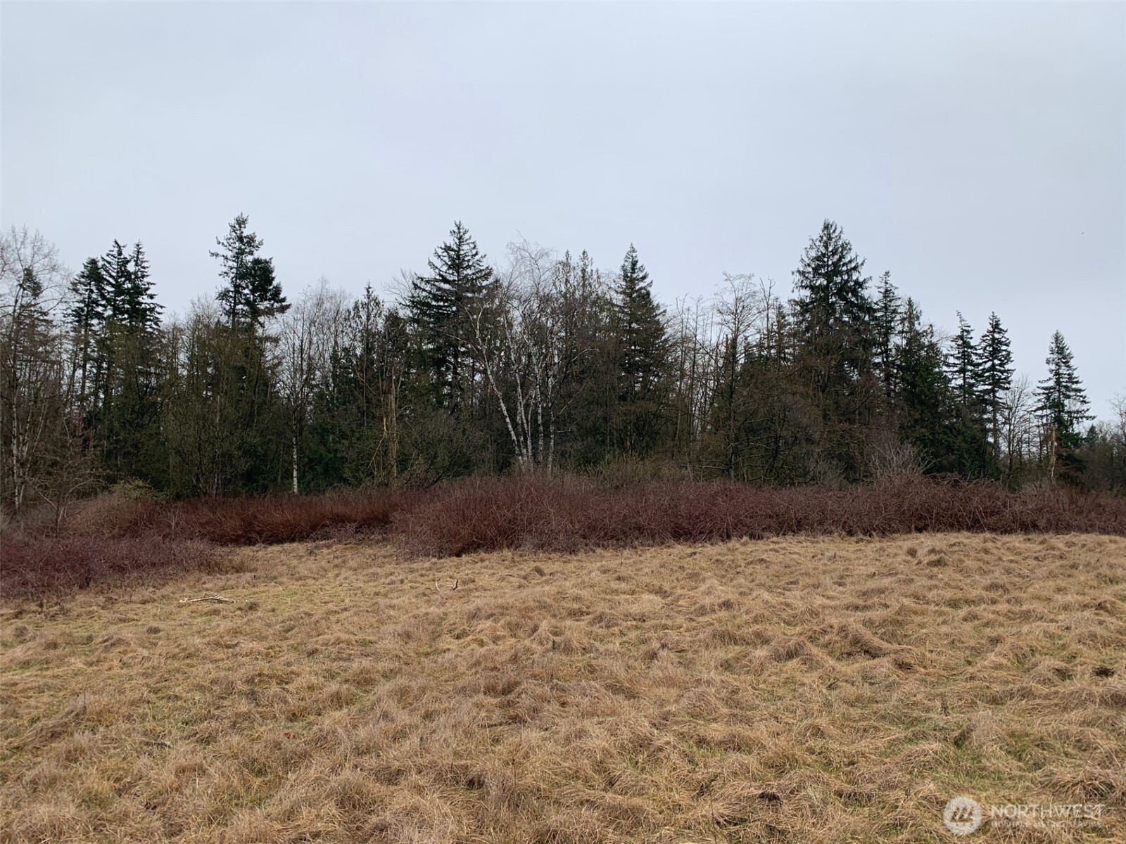 9924 Markworth Road Property Photo 15