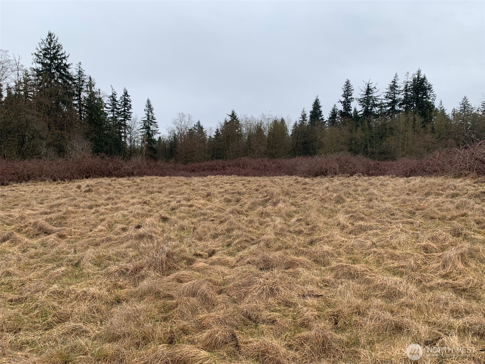 9924 Markworth Road Property Photo 16