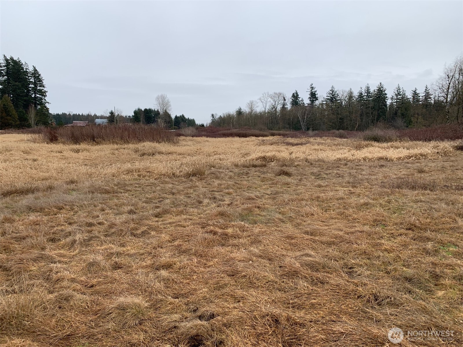 9924 Markworth Road Property Photo 19