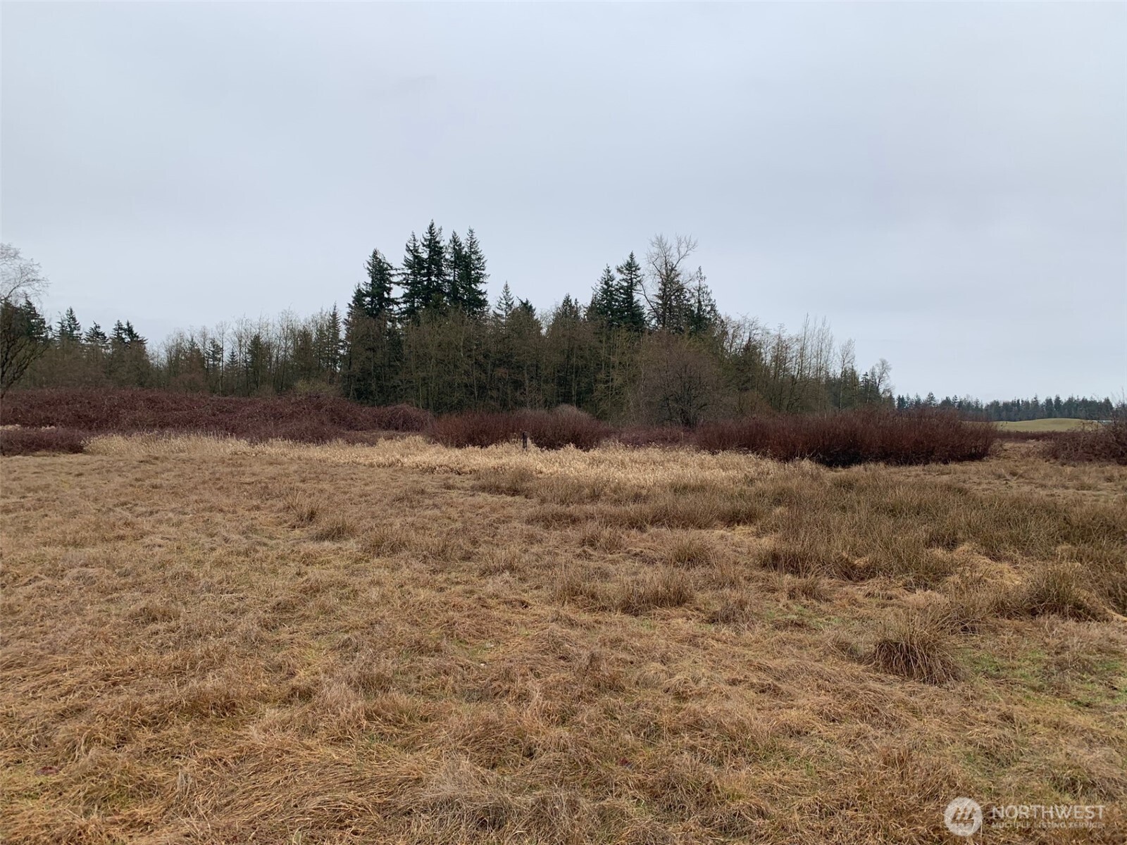 9924 Markworth Road Property Photo 20