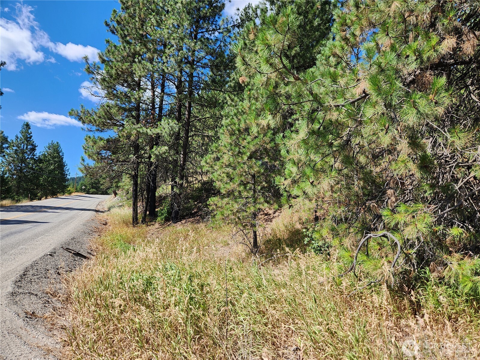 0 Lot 1 Klondike Road Property Photo 1