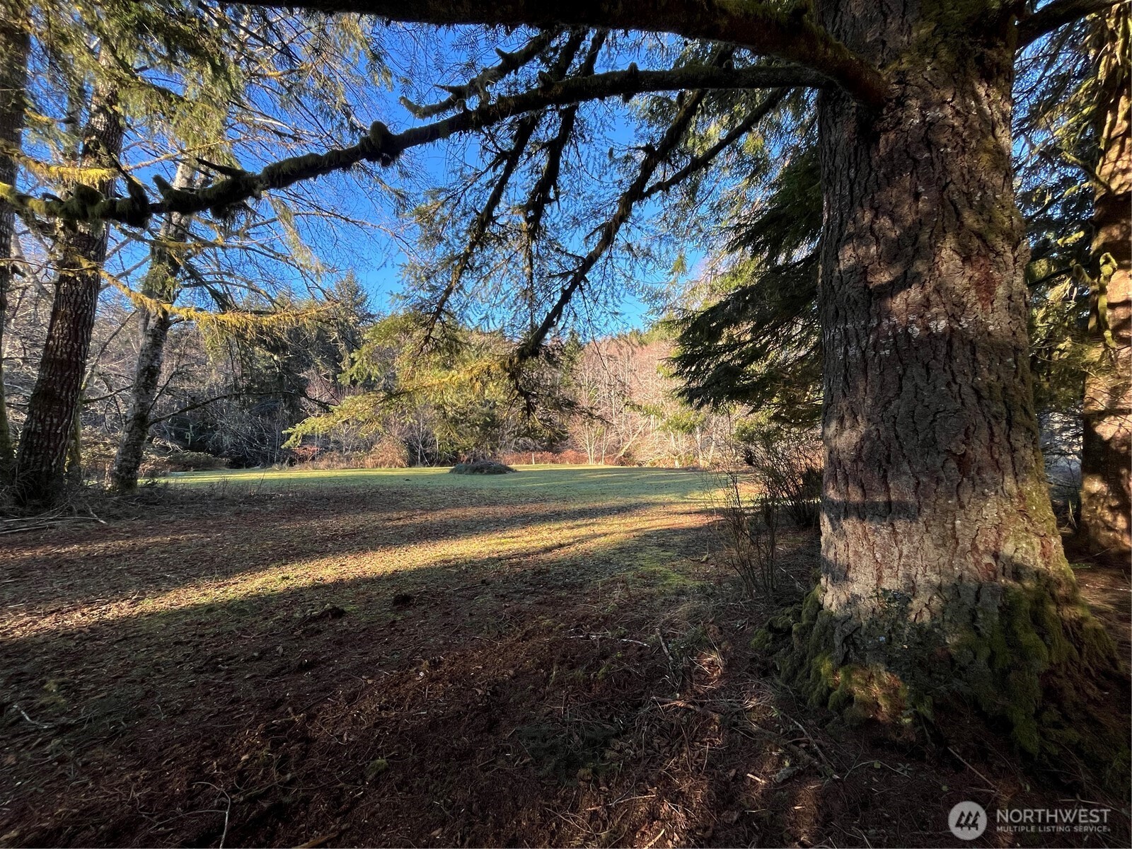 1329 State Route 4 Property Photo 11
