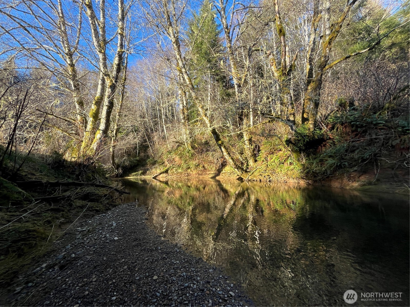 1329 State Route 4 Property Photo 13