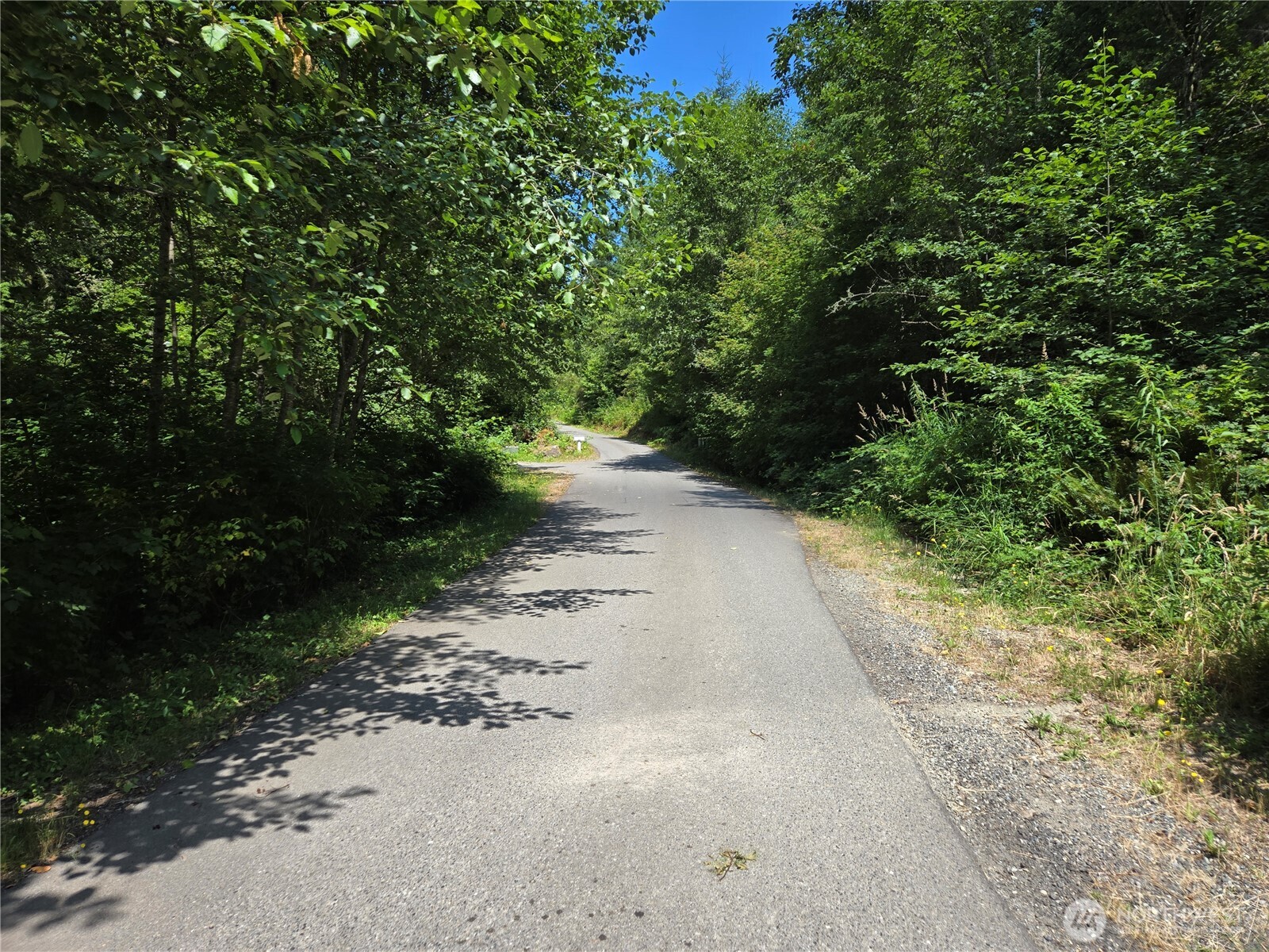 228 Xx W King Lake Road Property Photo 7
