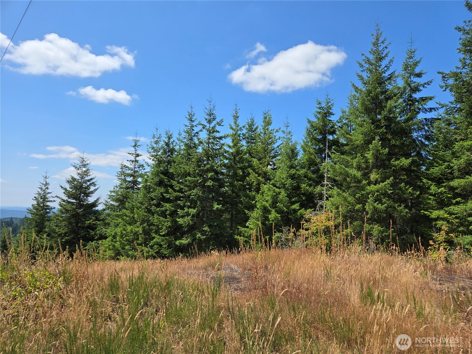 228 Xx W King Lake Road Property Photo 8