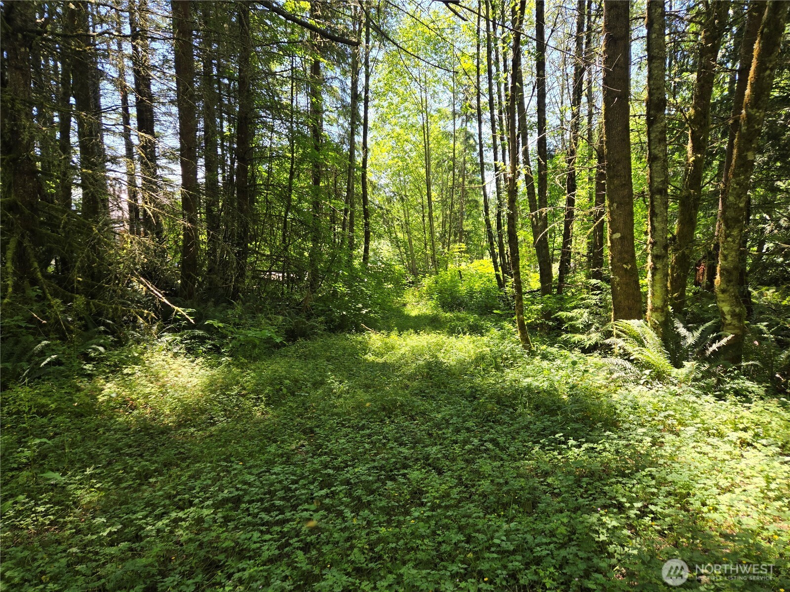 228 Xx W King Lake Road Property Photo 23