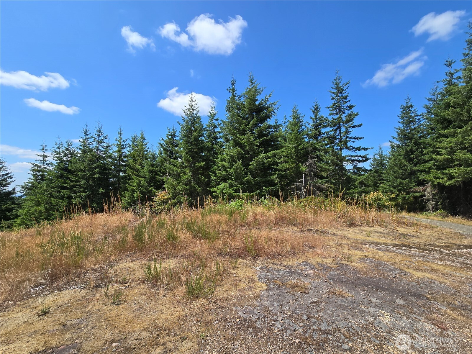 228 Xx W King Lake Road Property Photo 32