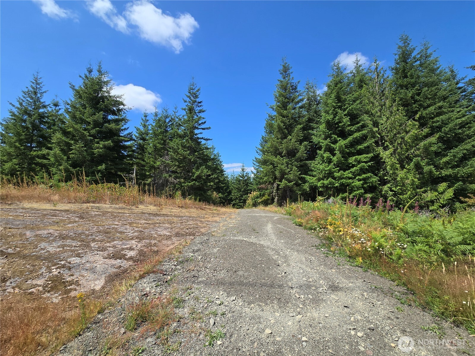 228 Xx W King Lake Road Property Photo 33
