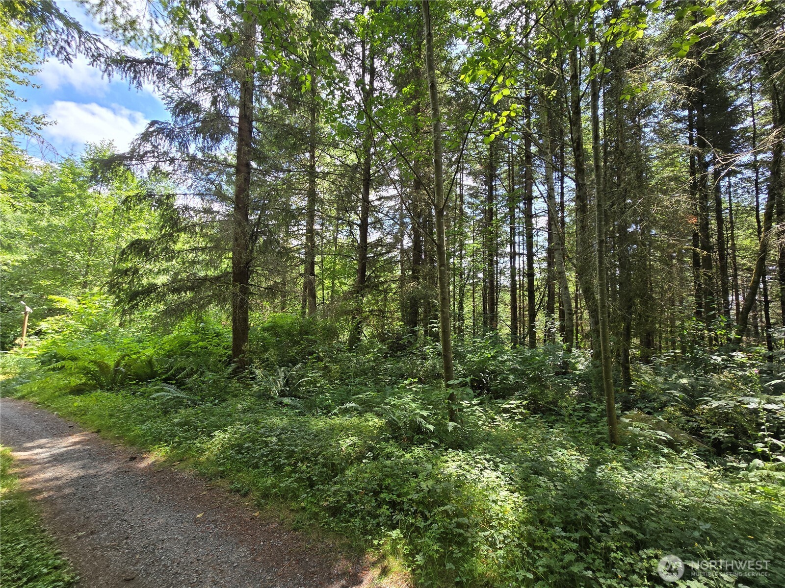 228 Xx W King Lake Road Property Photo 36