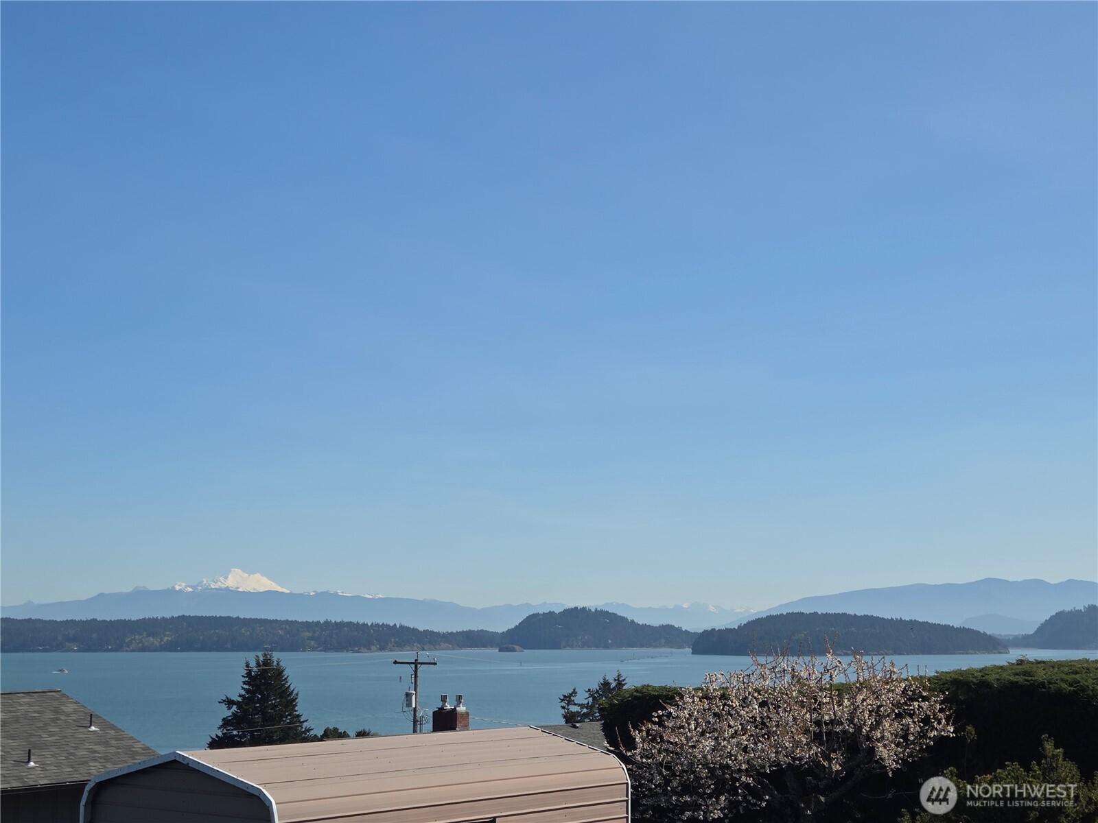 539 Birch Street Property Photo 1