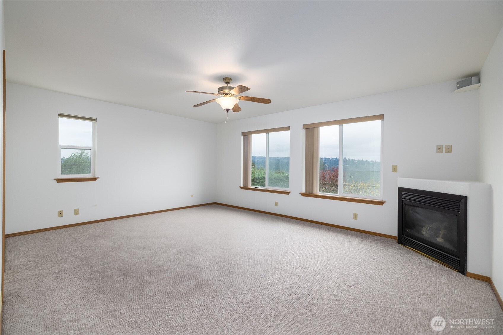 539 Birch Street Property Photo 18