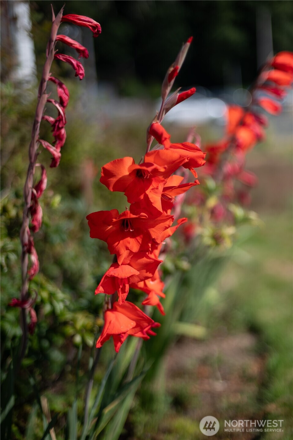 2934 Cherry Street Property Photo 6