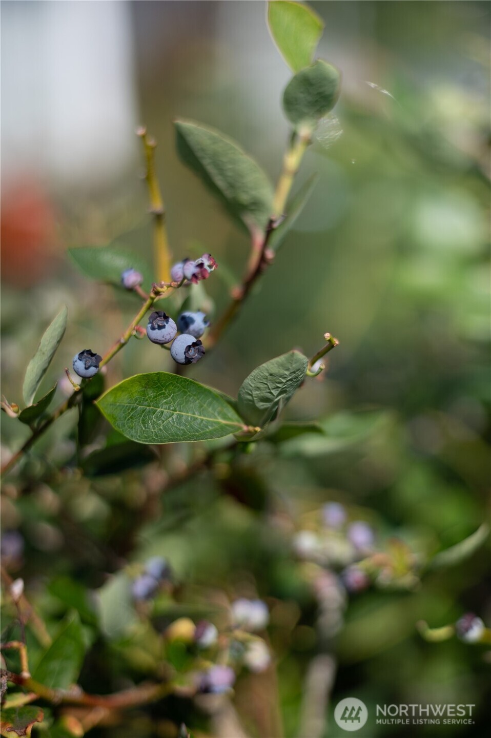 2934 Cherry Street Property Photo 7