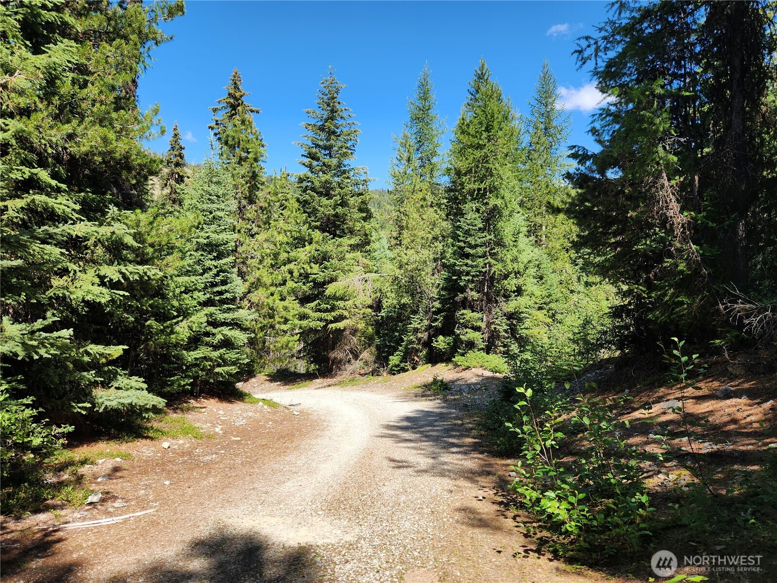 0 Xx East Fork Cougar Creek Road Property Photo 1