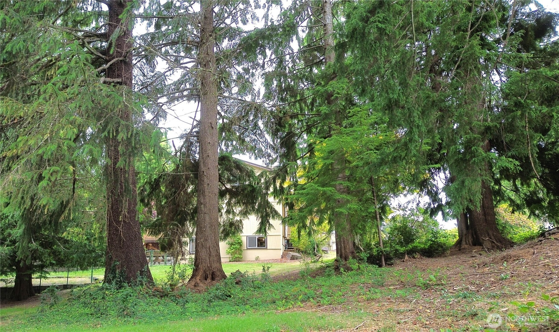 711 Purkey Avenue Property Photo 37