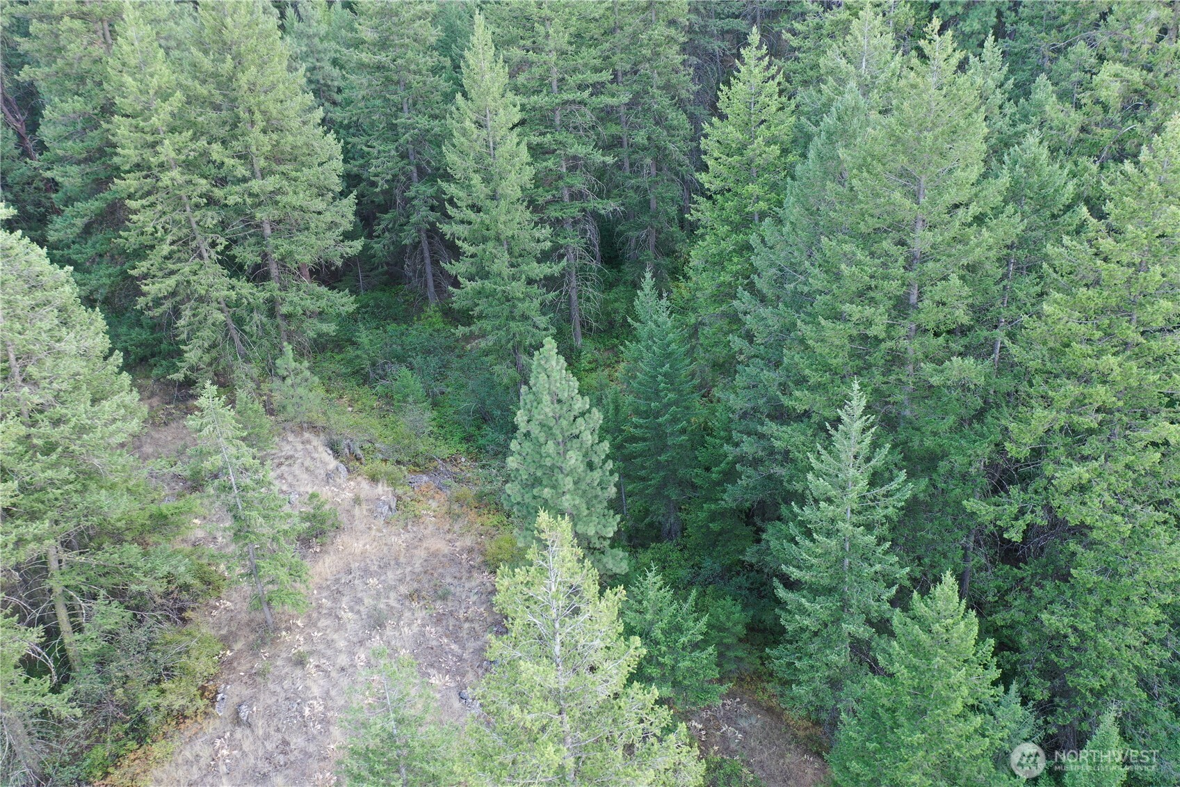 111 Eaglebluff Property Photo 4