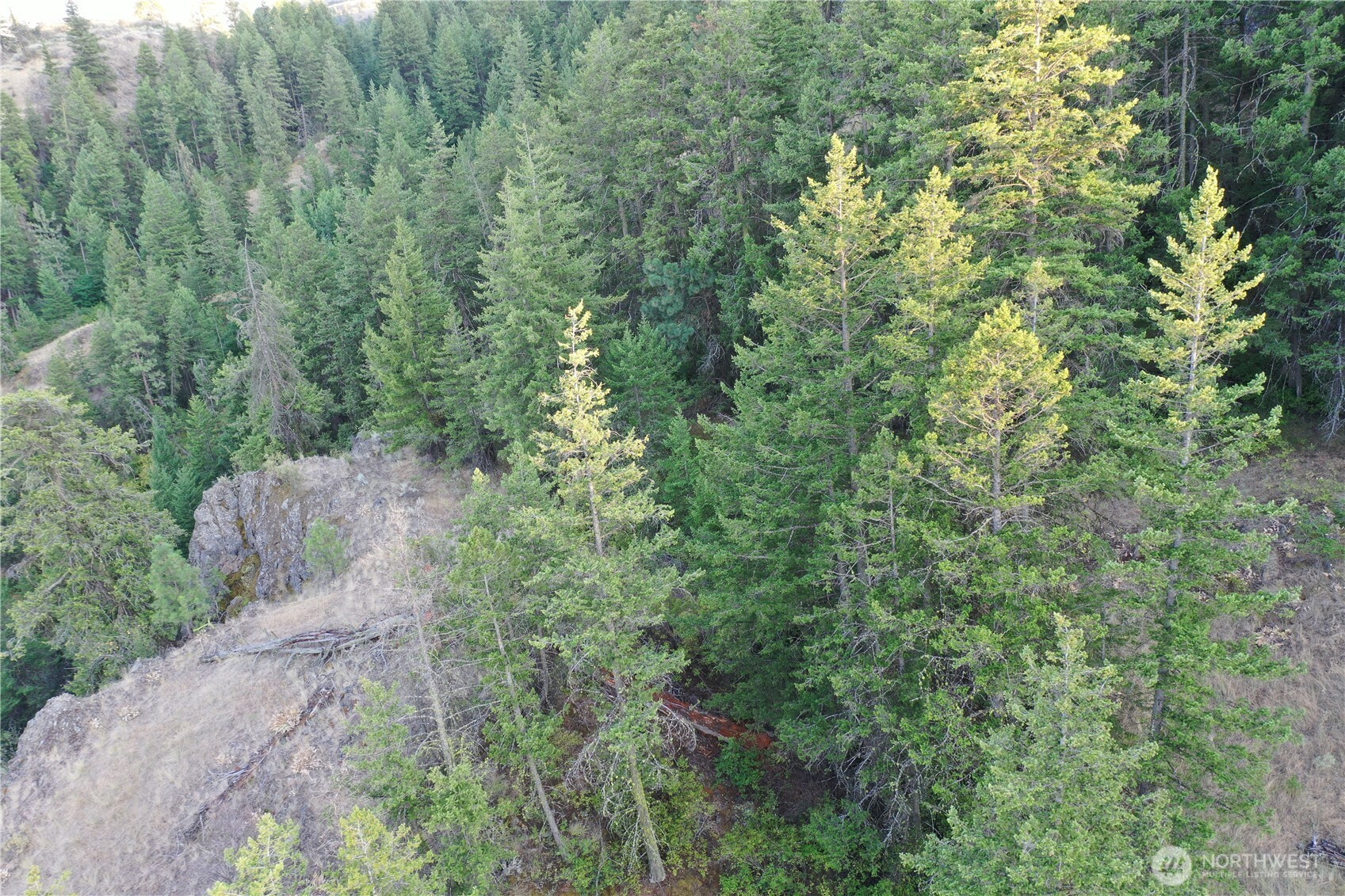 111 Eaglebluff Property Photo 7