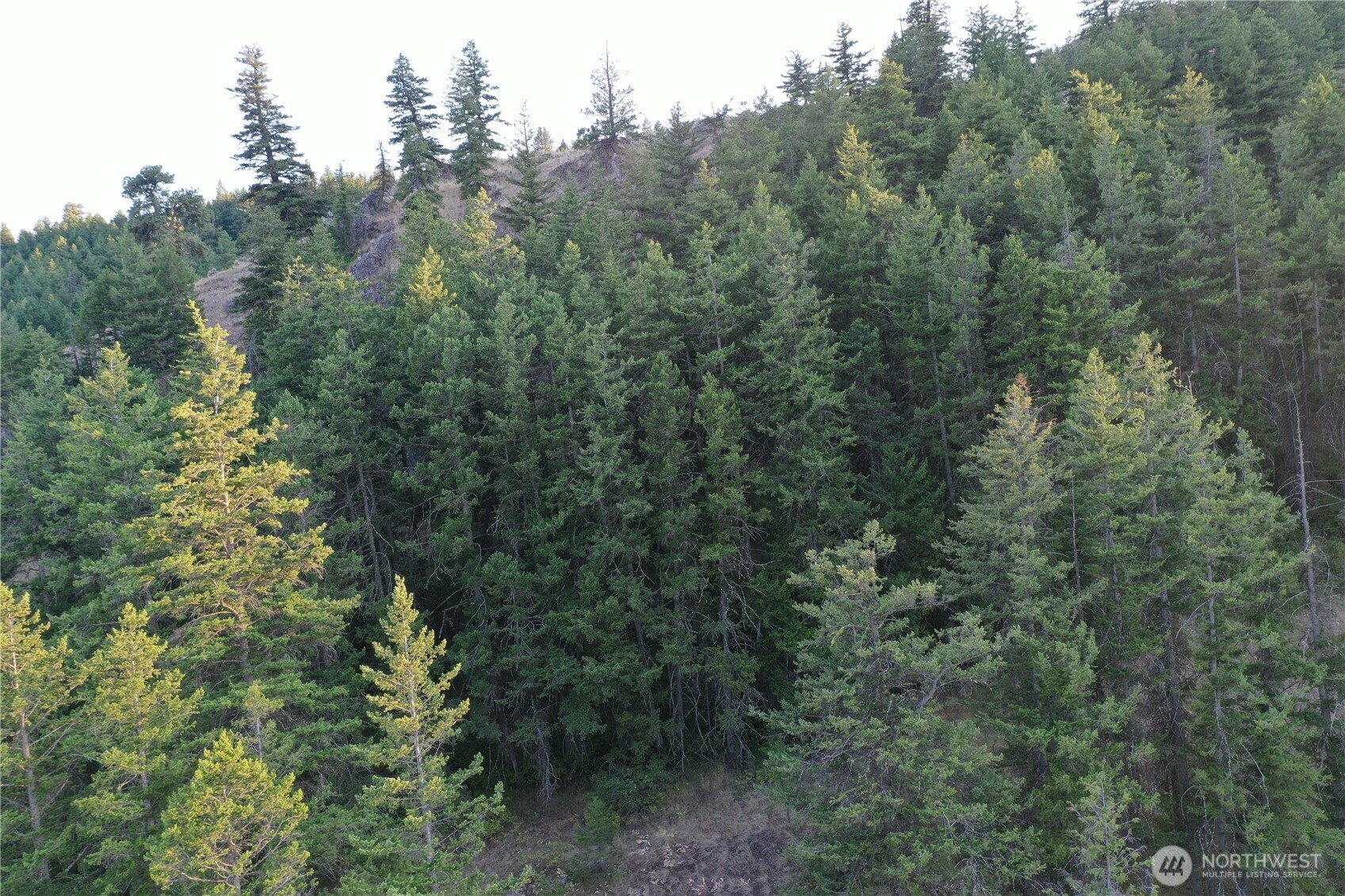 111 Eaglebluff Property Photo 8