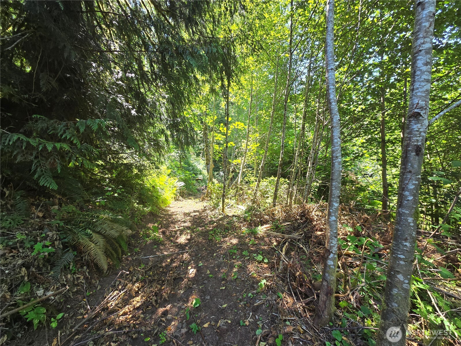 0 0 Highland Valley Road Property Photo 6