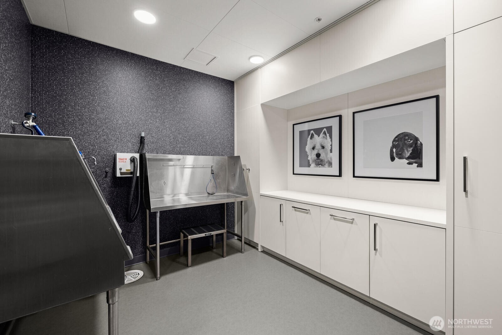 121 Stewart Street 2204 Property Photo 37