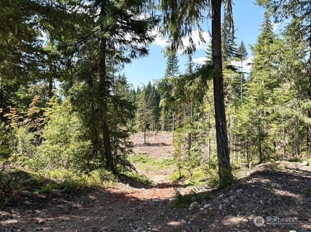 3311 Kachess Lake Road Property Photo 38