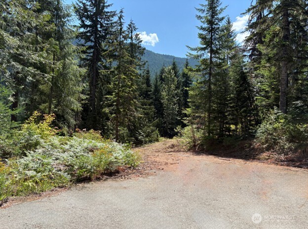 3311 Kachess Lake Road Property Photo 39