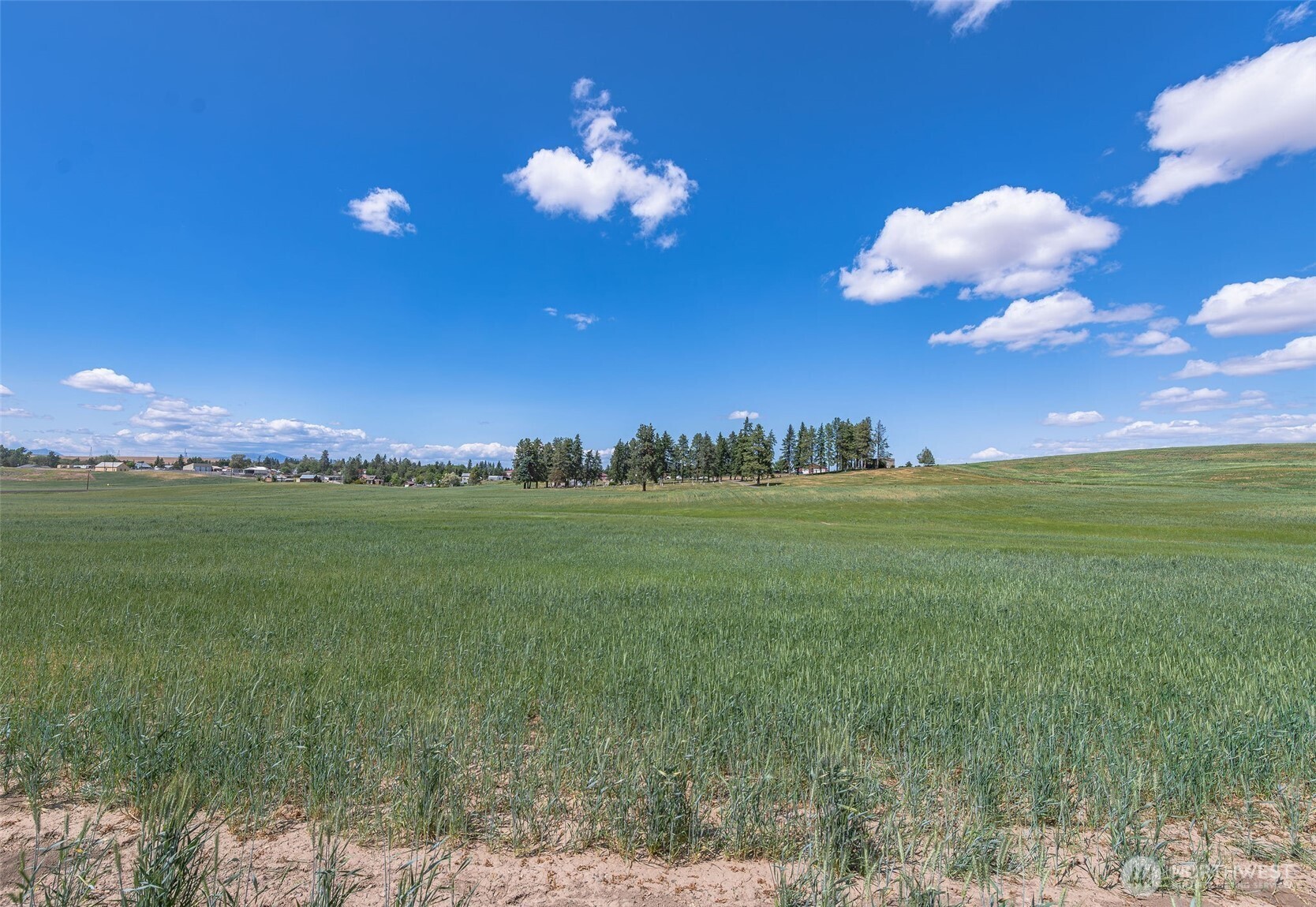 0 Unassigned Property Photo 4
