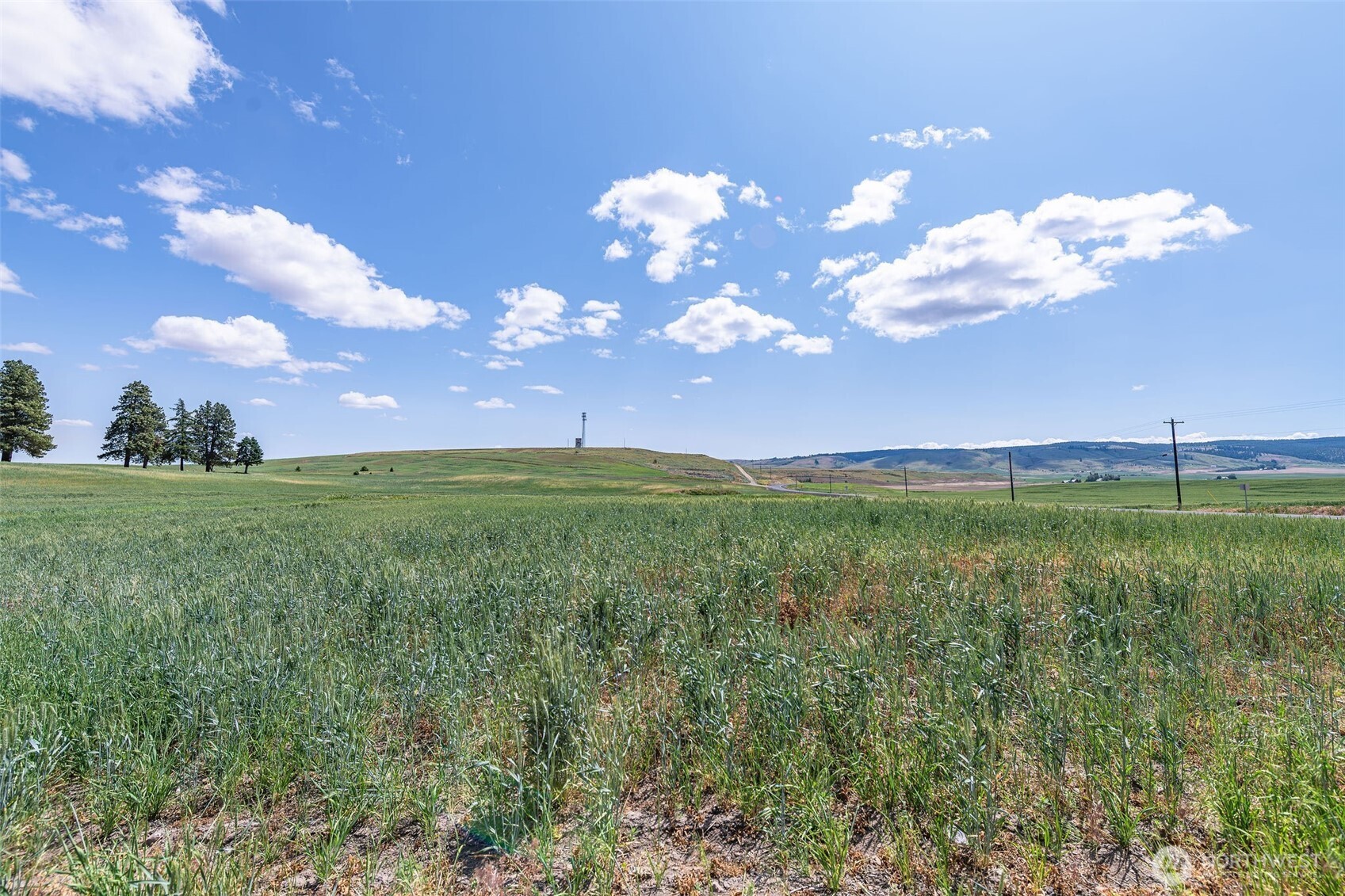 0 Unassigned Property Photo 6