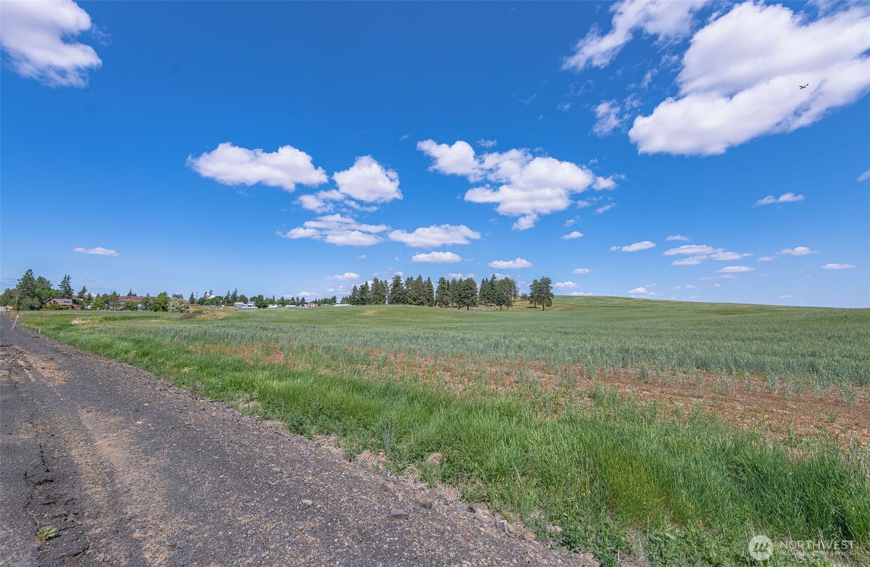 0 Unassigned Property Photo 13