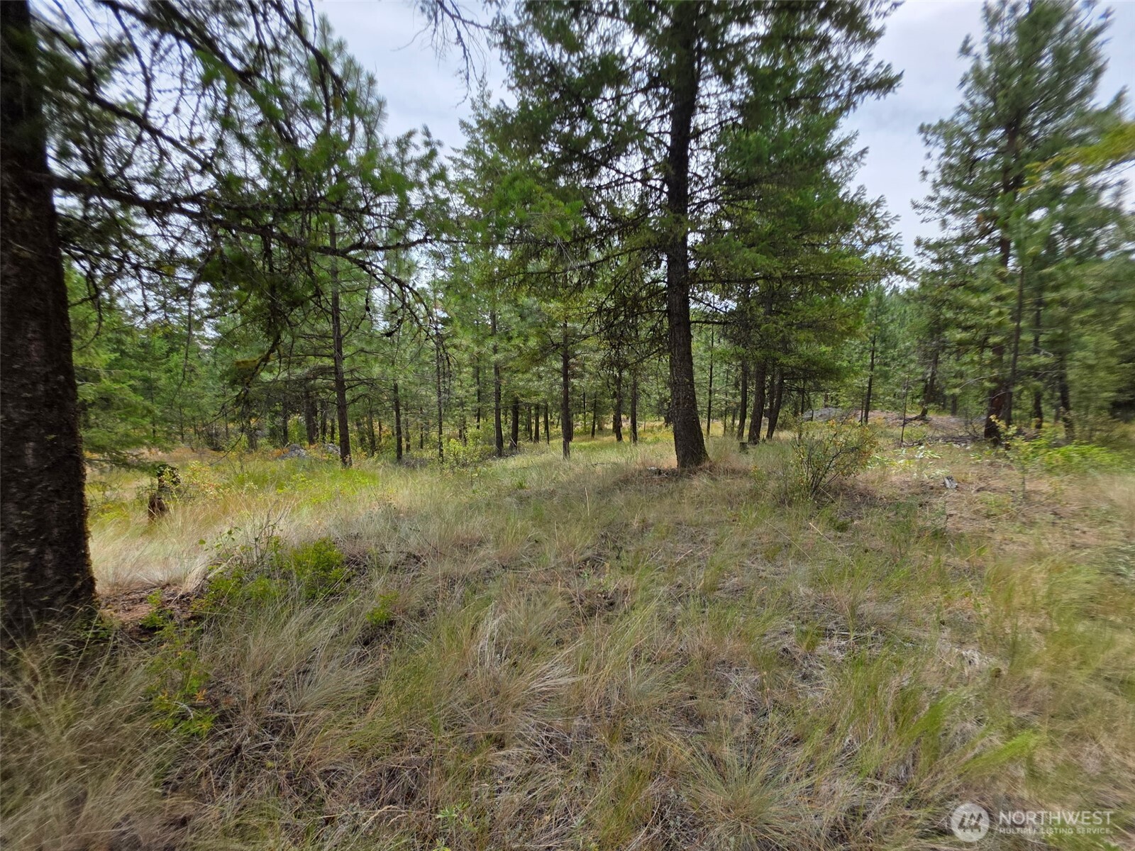 25 Outback Road Property Photo 5