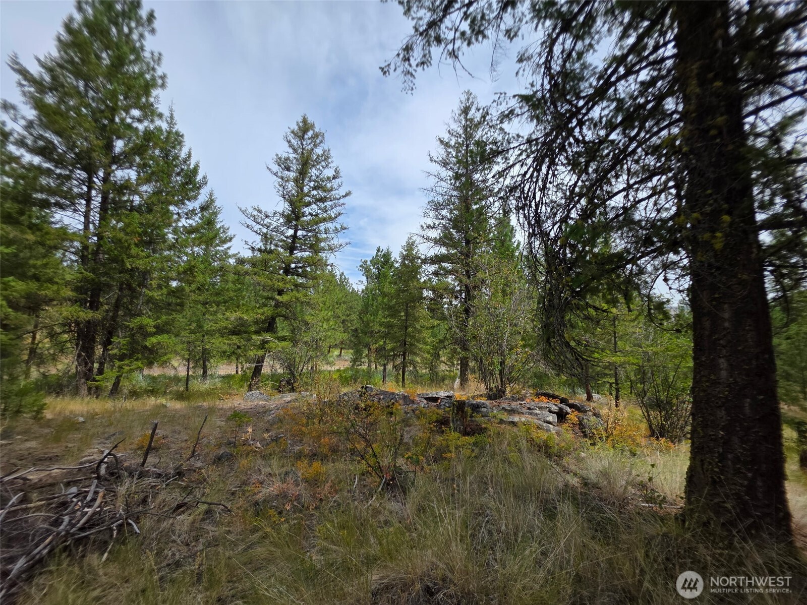25 Outback Road Property Photo 6