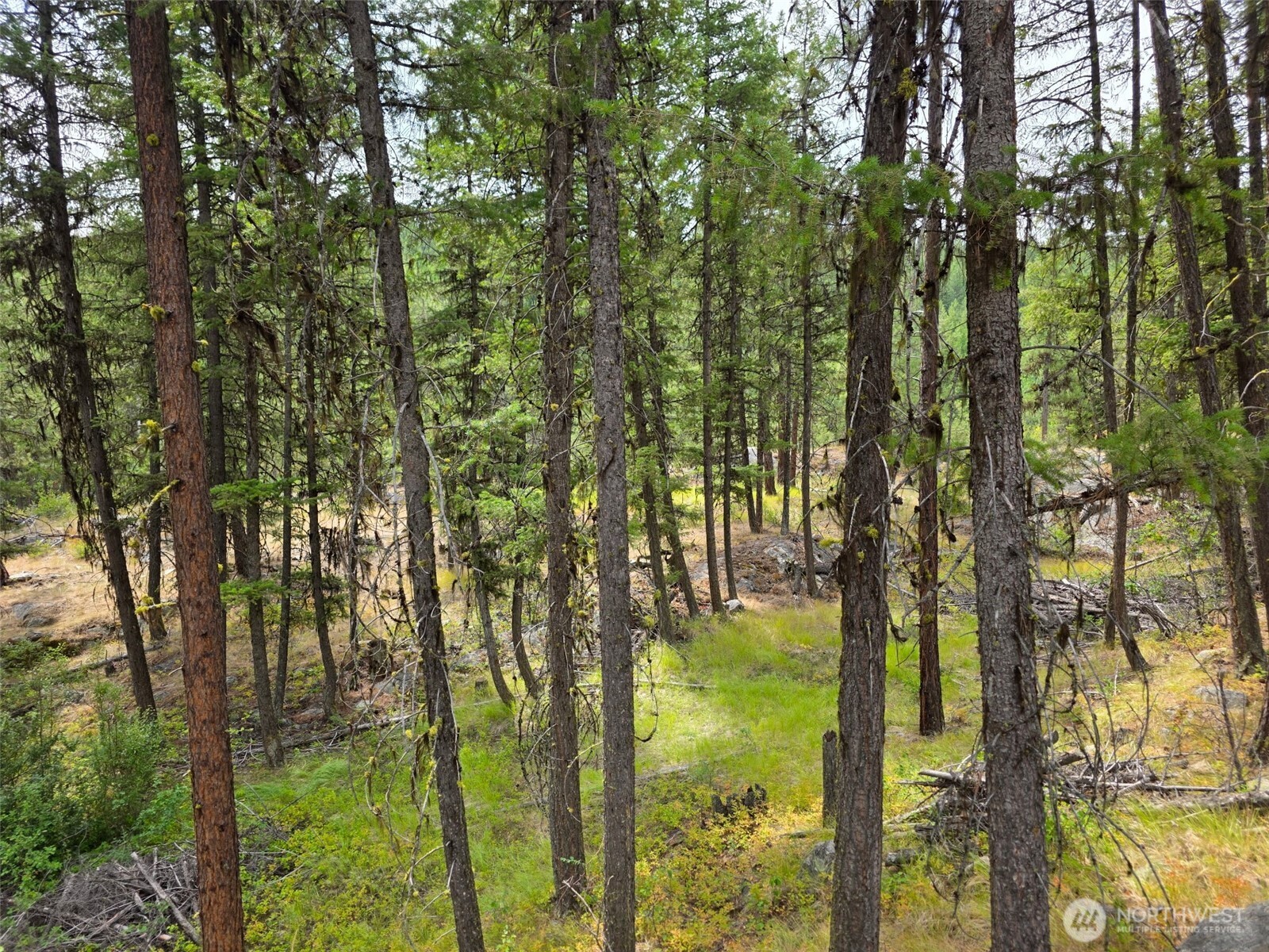 25 Outback Road Property Photo 9