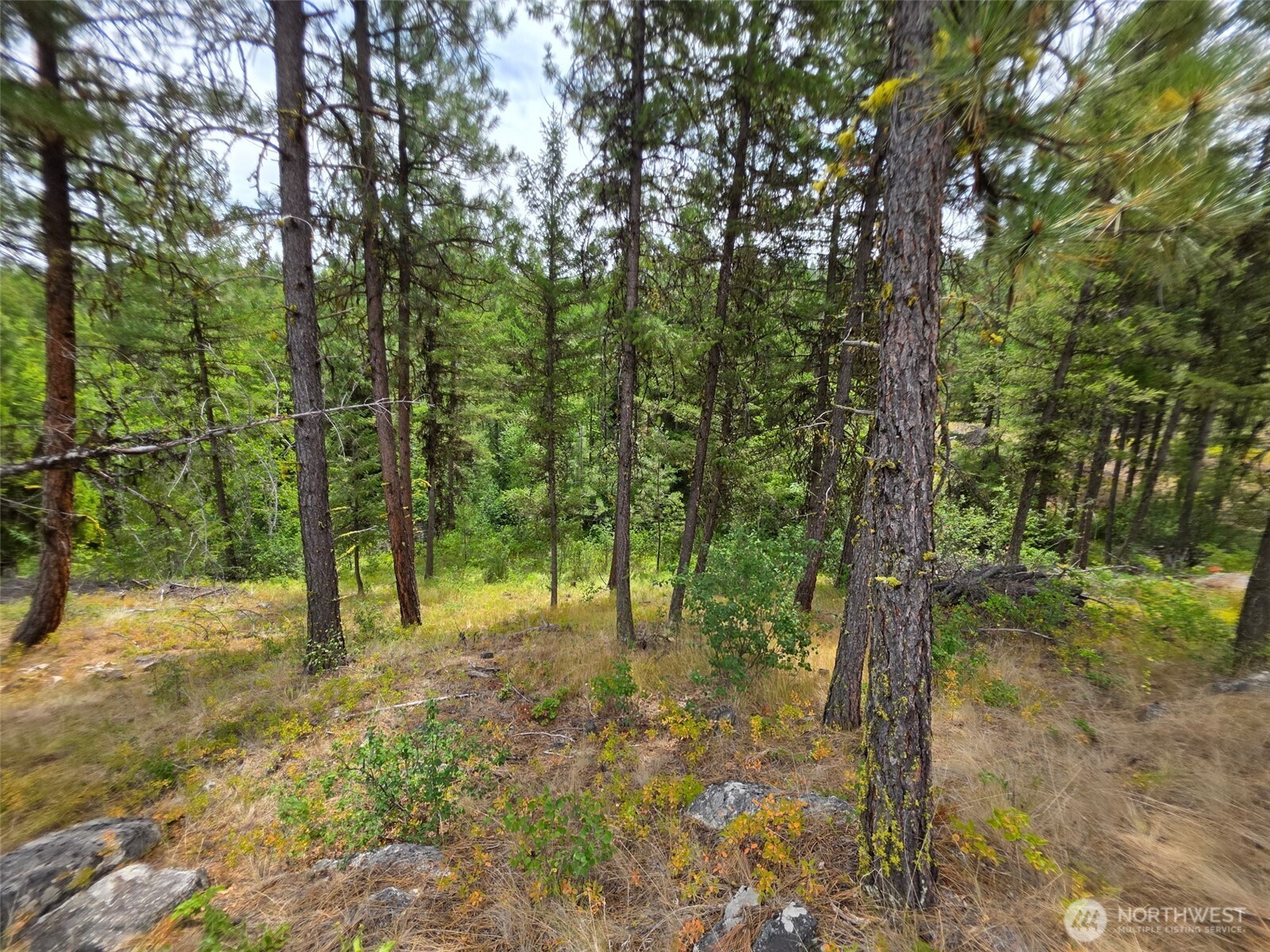 25 Outback Road Property Photo 10