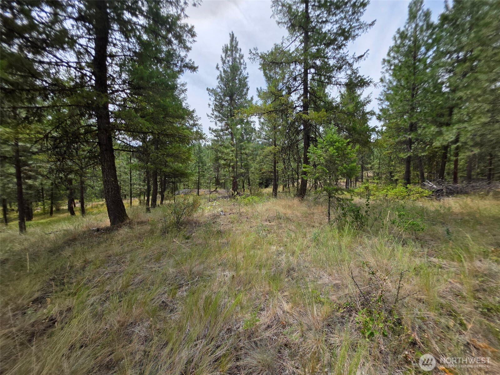 25 Outback Road Property Photo 11