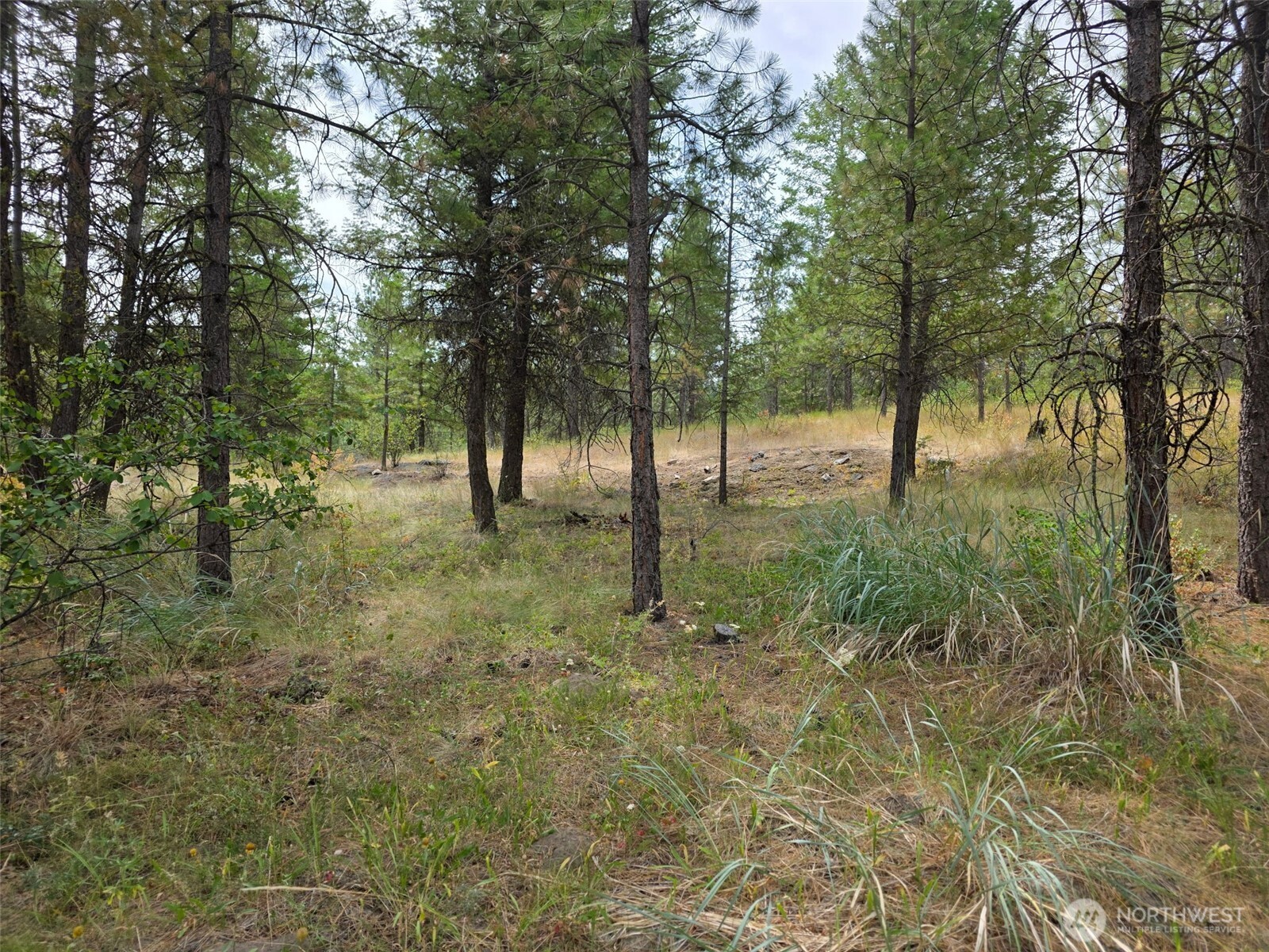 25 Outback Road Property Photo 12