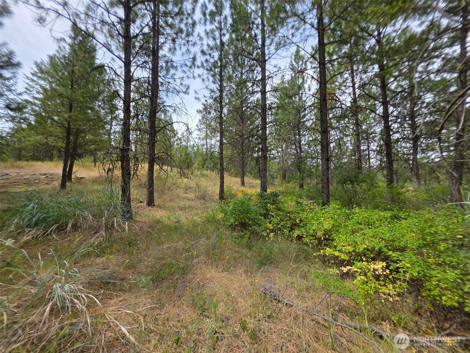 25 Outback Road Property Photo 13
