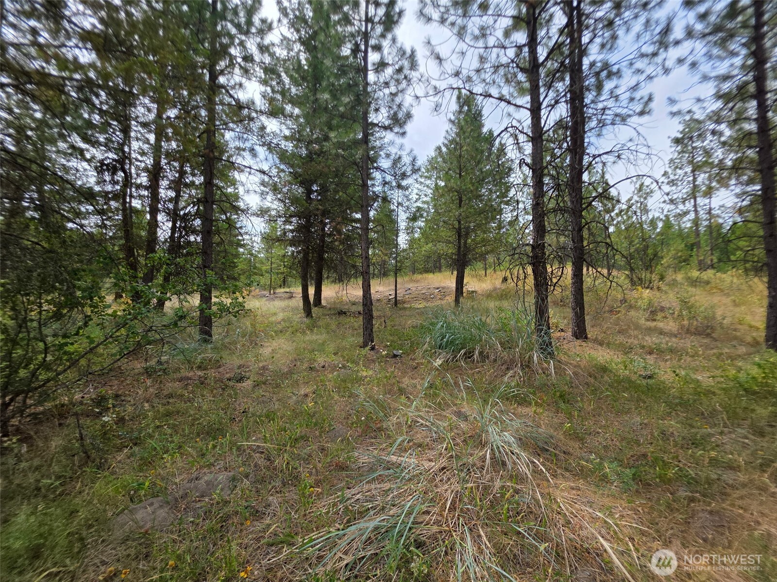 25 Outback Road Property Photo 14