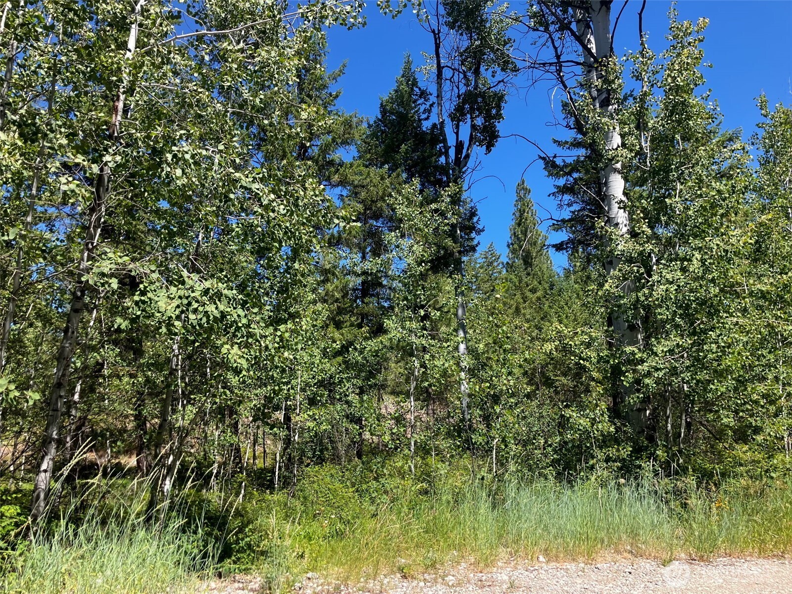 25 Outback Road Property Photo 17