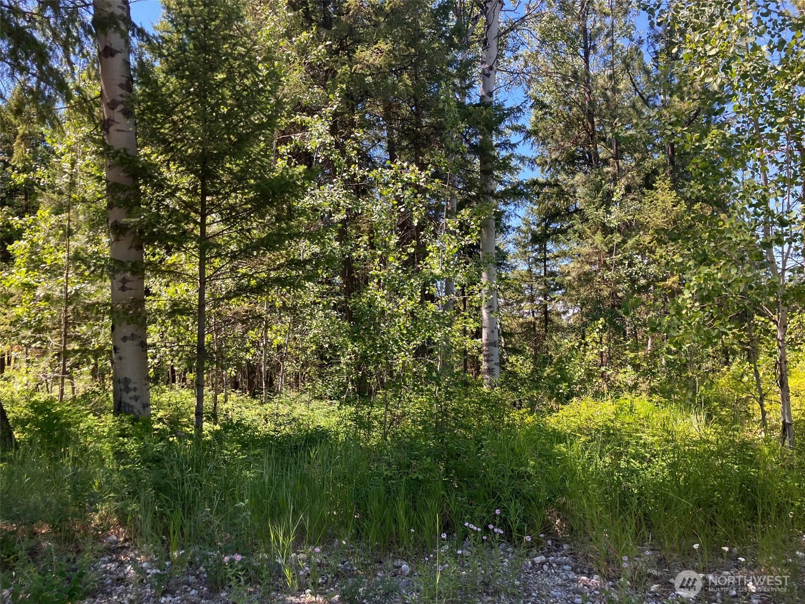 25 Outback Road Property Photo 18