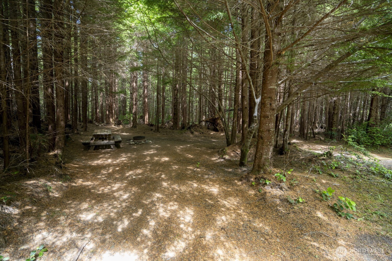 20860 Hoko-ozette Rd Property Photo 15